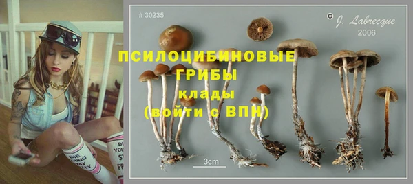 тгк Михайловск