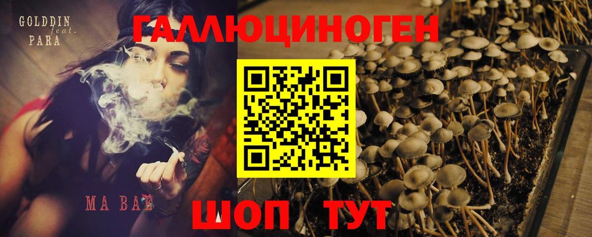 Павловский Посад  Галлюциногенные грибы Magic Shrooms  Вход с VPN 