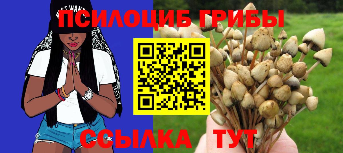 Псилоцибиновые грибы прущие грибы Павловский Посад