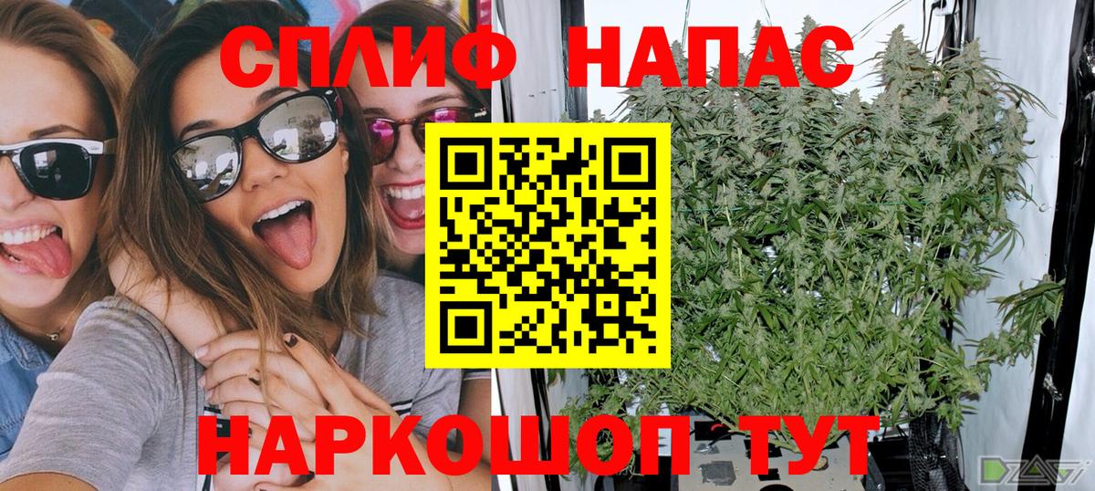 Бошки марихуана планчик  Каннабис THC 21%  Шишки марихуана семена  Марихуана гибрид  Павловский Посад  Вход с VPN 